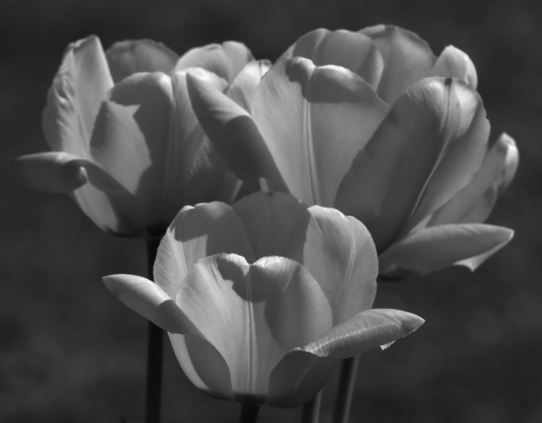 2021 04 24 HTP 51148ebw